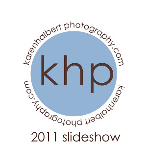 slideshow button